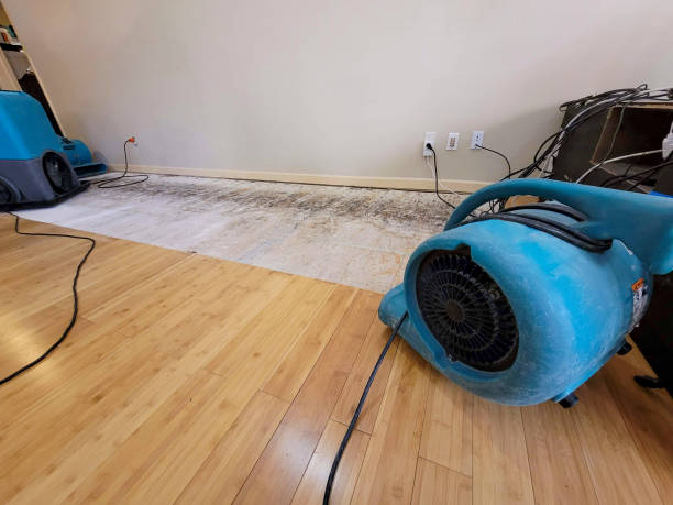 Professional Flood Damage Cleanup technician working in San Gabriel, CA
